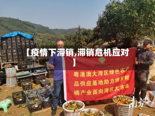 【疫情下滞销,滞销危机应对】-第2张图片
