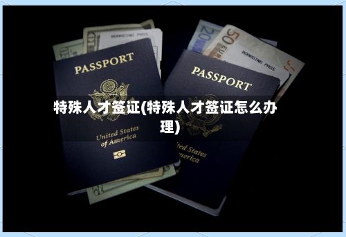 特殊人才签证(特殊人才签证怎么办理)-第2张图片
