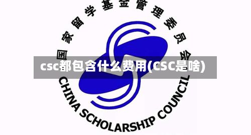 csc都包含什么费用(CSC是啥)