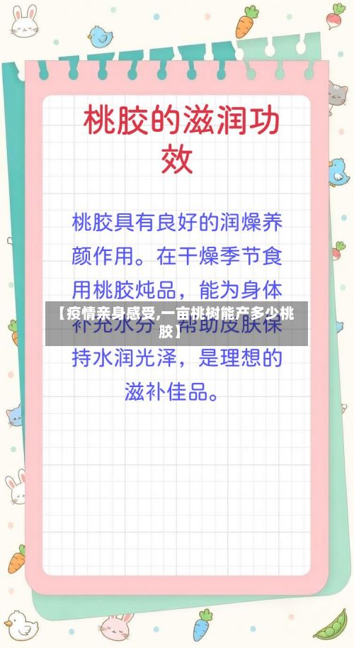 【疫情亲身感受,一亩桃树能产多少桃胶】