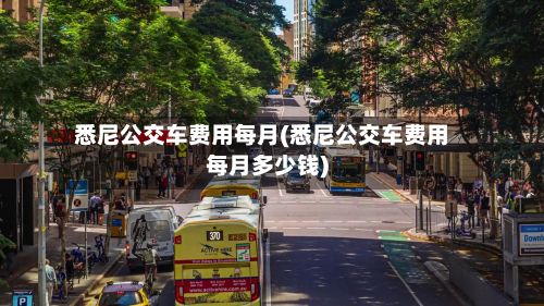 悉尼公交车费用每月(悉尼公交车费用每月多少钱)-第2张图片