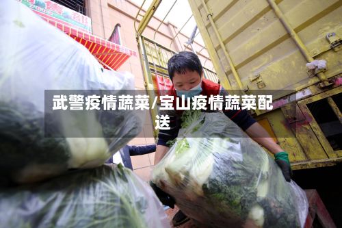 武警疫情蔬菜/宝山疫情蔬菜配送-第2张图片