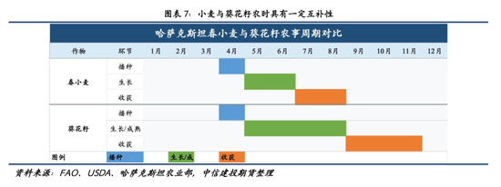 【建投专题】麦田之外：哈萨克斯坦油籽产业的崛起